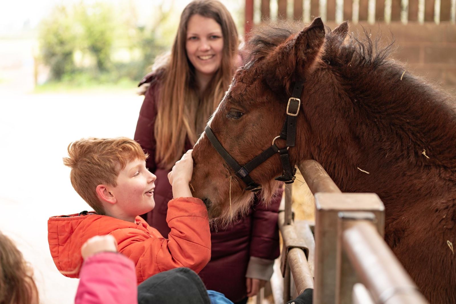 Cotebrook Shire Horse Centre, Cheshire