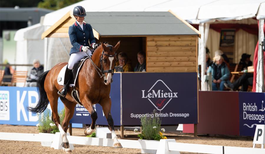 LeMieux National Dressage Championships