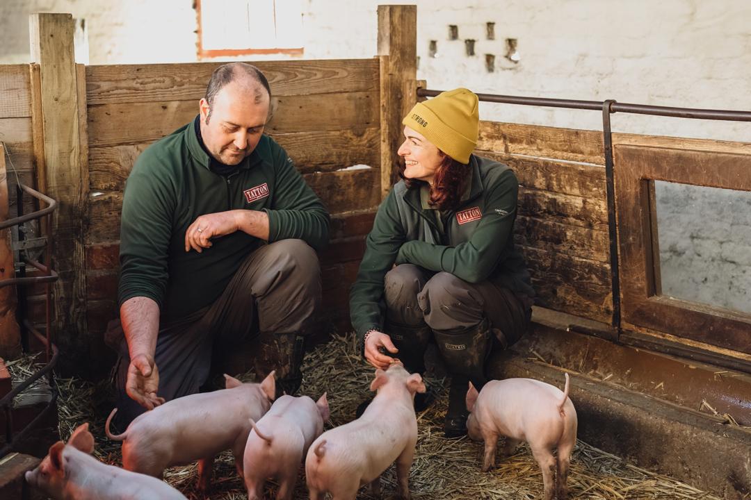 Tatton Park Farm