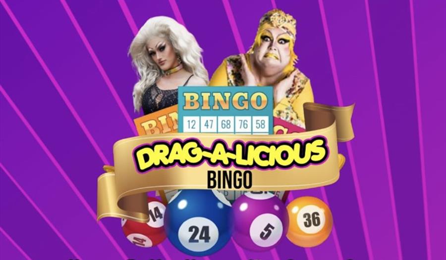 drag-a-licious bingo