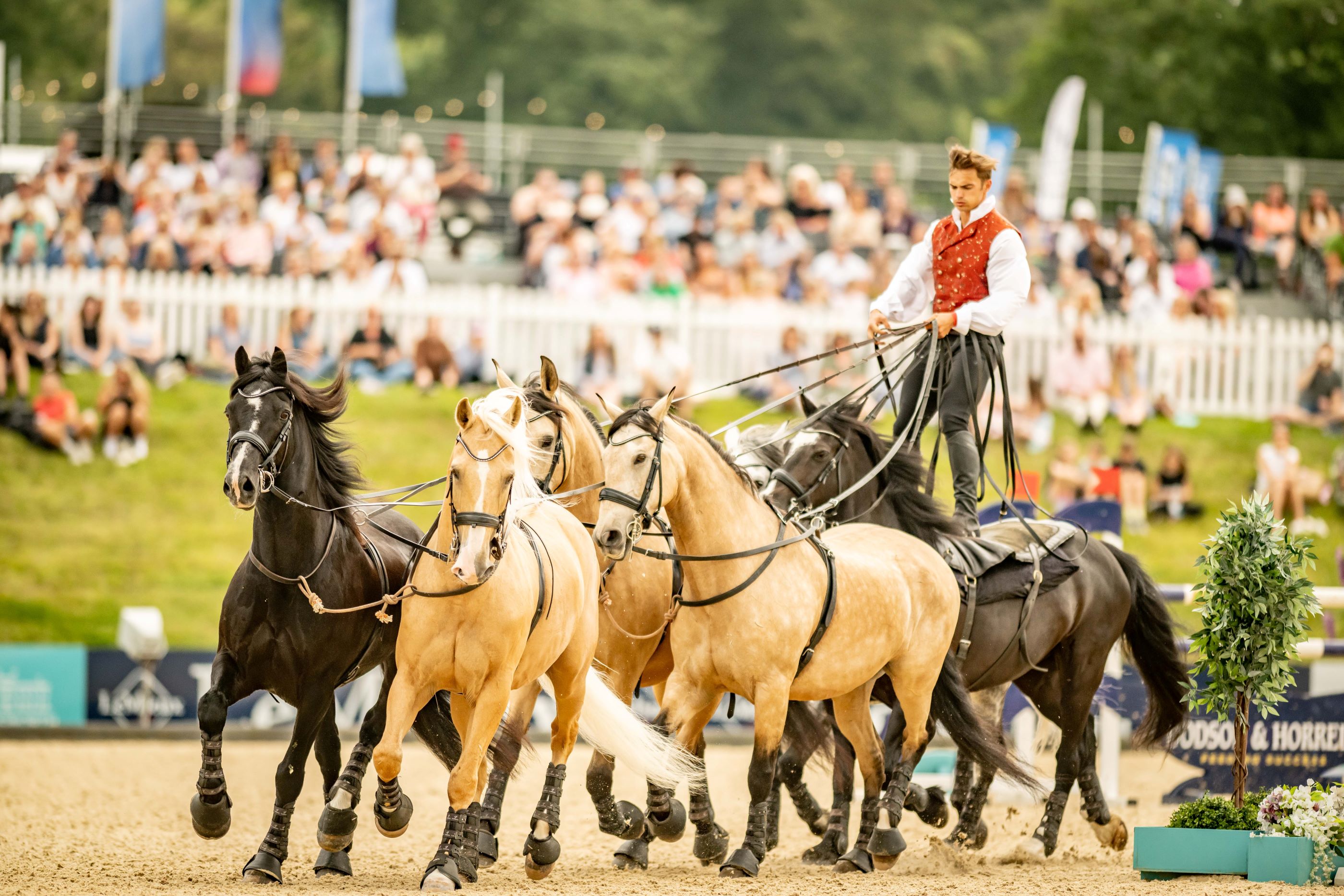 Bolesworth International Equestrian Summer Festival Visit Cheshire