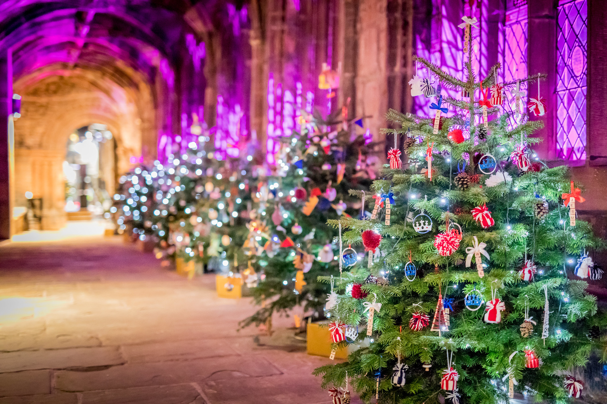 https://www.visitcheshire.com/dmsimgs/Christmas_Tree_Festival_844624444.jpg